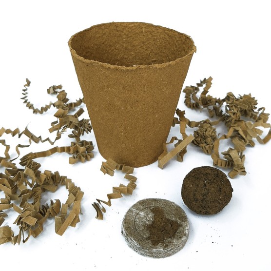 Kit de plantación personalizado