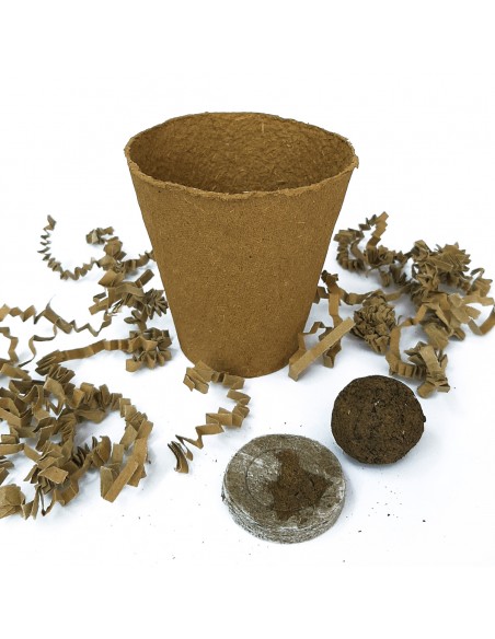 Kit de plantació | Regals solidaris SJD Kit de plantació | Regals solidaris SJD