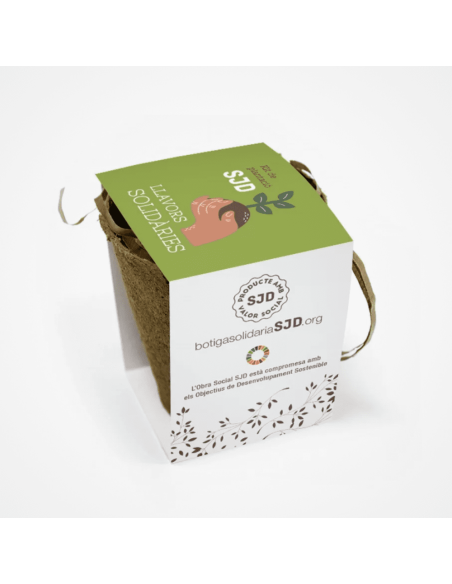 Kit de plantació | Regals solidaris SJD Kit de plantació | Regals solidaris SJD