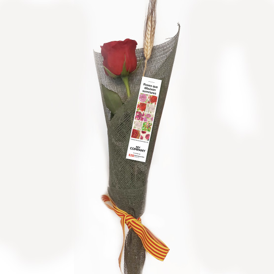 Roses solidàries de Sant Jordi | Col·labora amb SJD 2