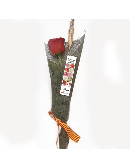 Rosas solidarias de Sant Jordi para empresas | Colabora con SJD Rosas solidarias de Sant Jordi para empresas | Colabora con SJD